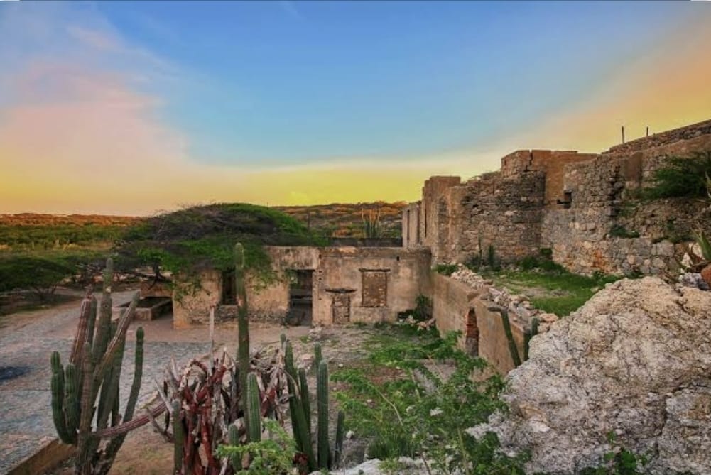Bushiribana ruins and cactus at sunset, Aruba