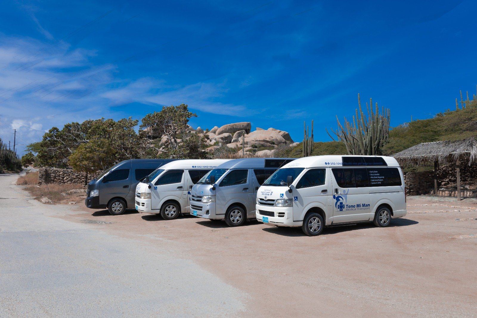 The Tene Mi Man fleet of white vans parked by the Casibari rocks