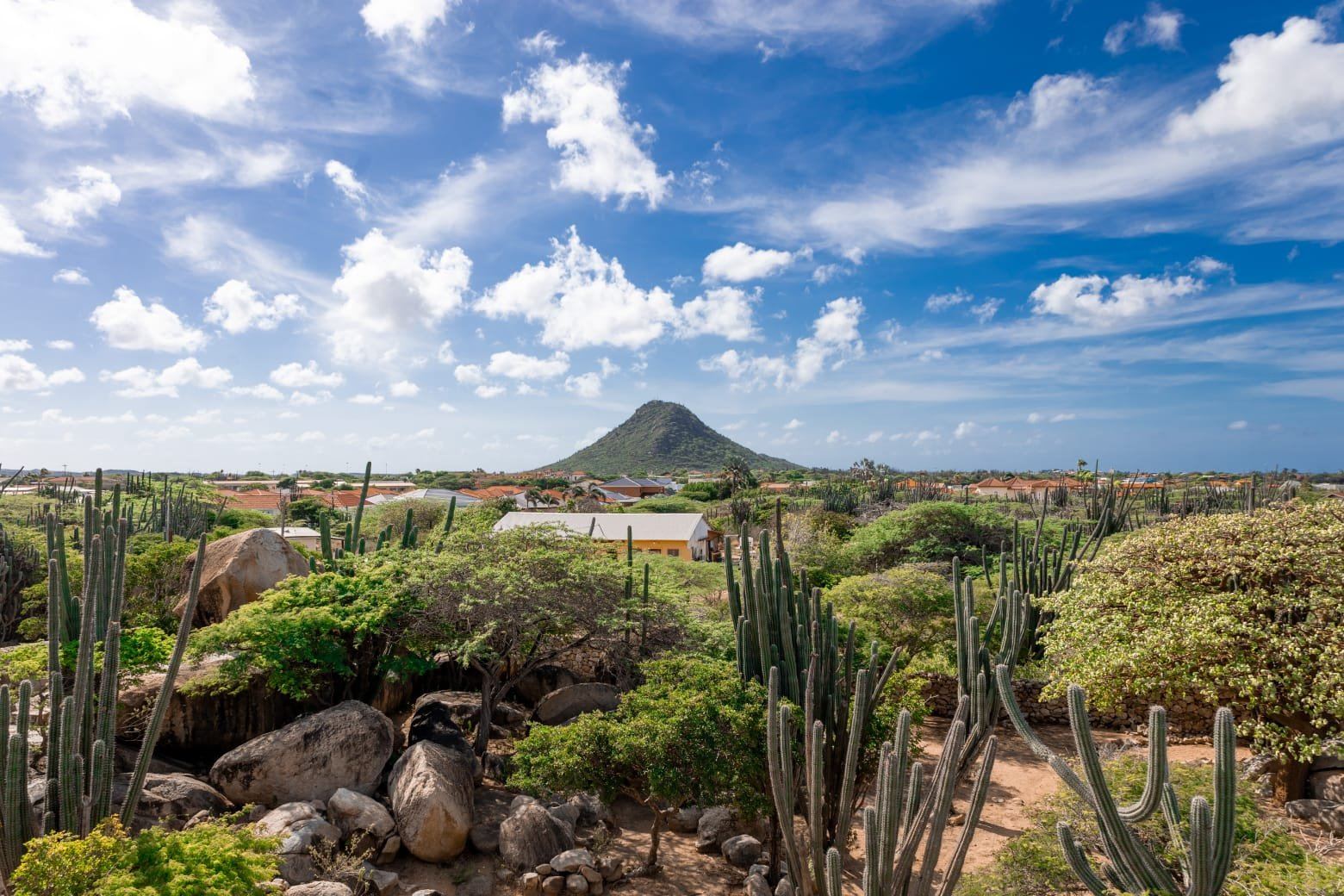 Hooiberg hill over cactus landscape, Aruba