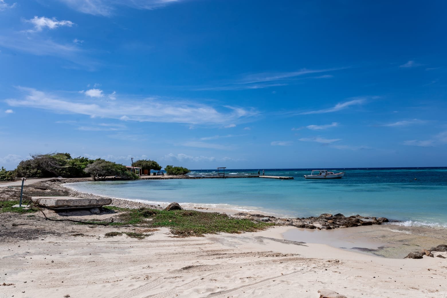 WhatsApp Image 2025-11-27 at 12.00.11