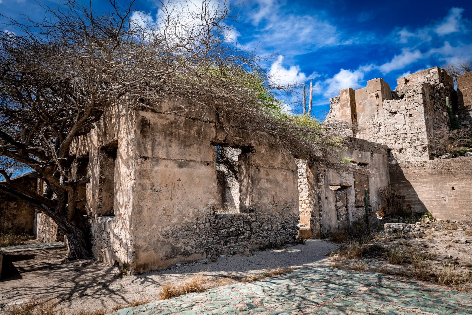 WhatsApp Image 2025-11-27 at 12.00.15 (1)