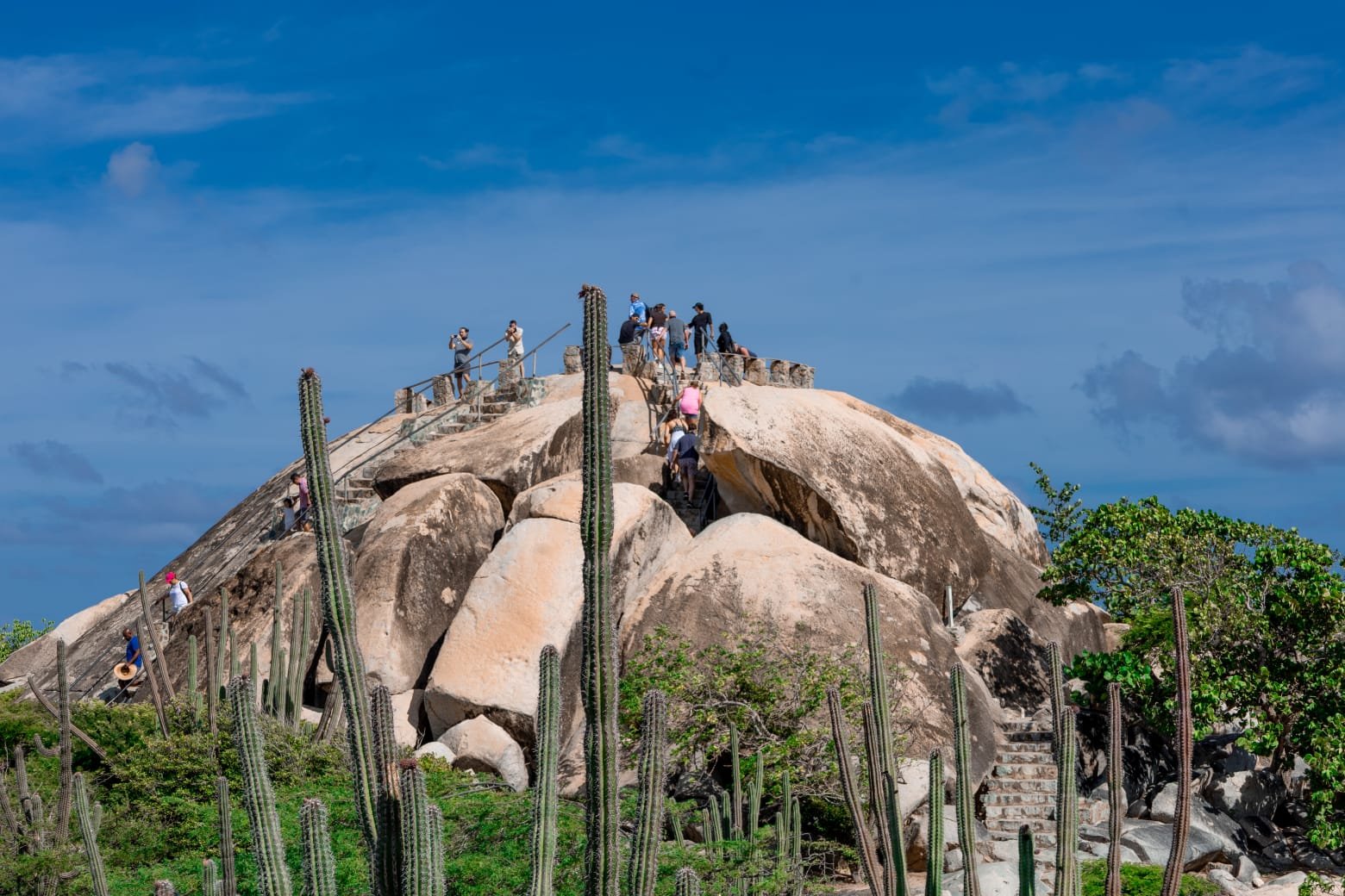 WhatsApp Image 2025-11-27 at 12.00.19